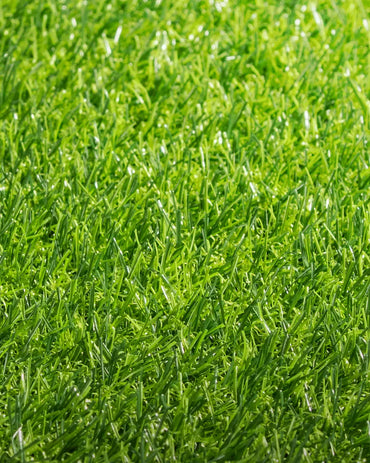 Pasto Sintético Ornamental Basic 20mm