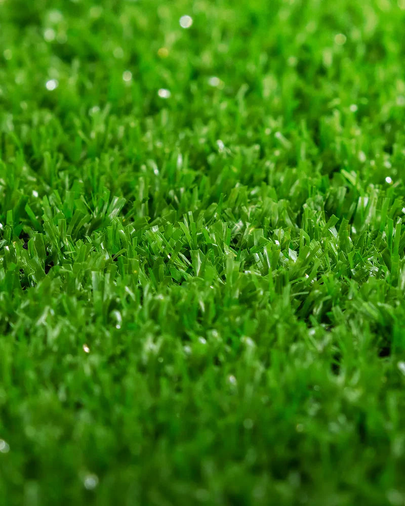 Pasto Sintético Alfombra 10mm