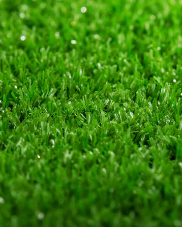 Pasto Sintético Alfombra 10mm