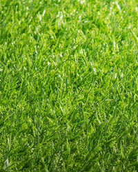 Pasto Sintético Ornamental Basic 20mm