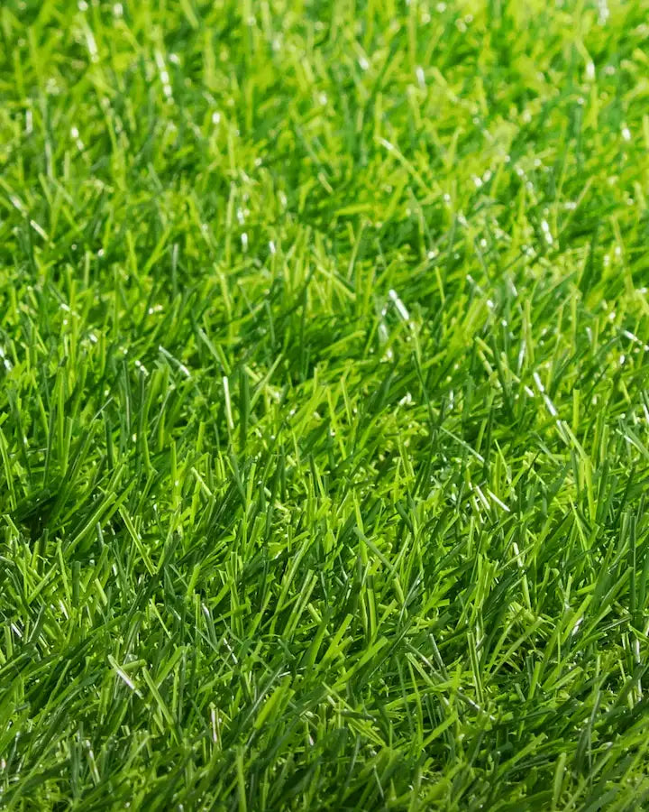 Pasto Sintético Ornamental Basic 25mm