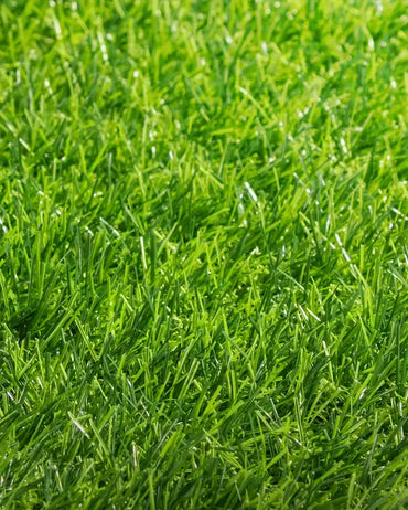 Pasto Sintético Ornamental Basic 25mm