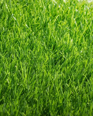 Pasto Sintético Ornamental Basic 35mm
