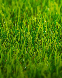 Pasto Sintético Vivo 30mm